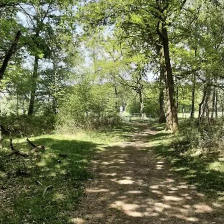 Boshuisje Met Airco! 木屋 奥斯特韦克