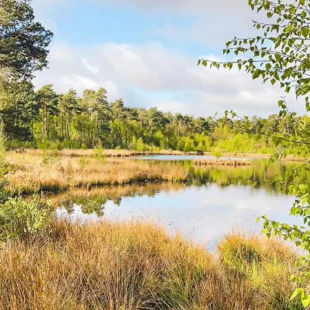 木屋 Boshuisje Met Airco! *