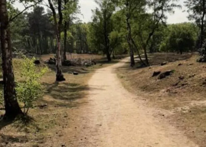 Boshuisje Met Airco! בקתה *