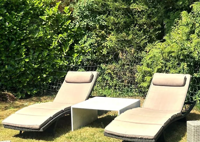 Boshuisje Met Airco! Oisterwijk