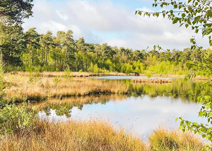 Dağ evi Boshuisje Met Airco! *