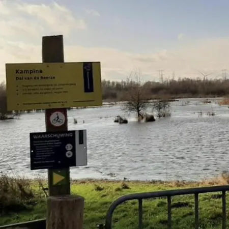 Boshuisje Met Airco! Oisterwijk