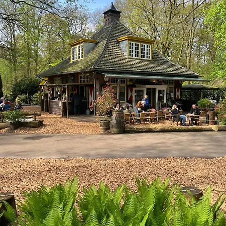 Boshuisje Met Airco! Chalet