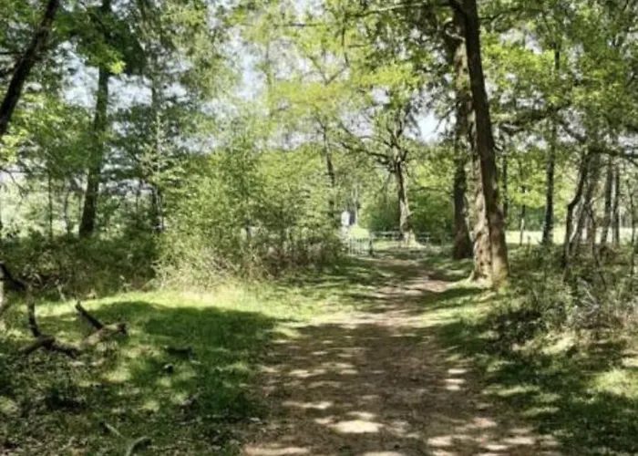 Boshuisje Met Airco! 2 Slk 3 Bedden Шале Ойстервейк