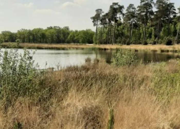 Boshuisje Met Airco! Chalet *